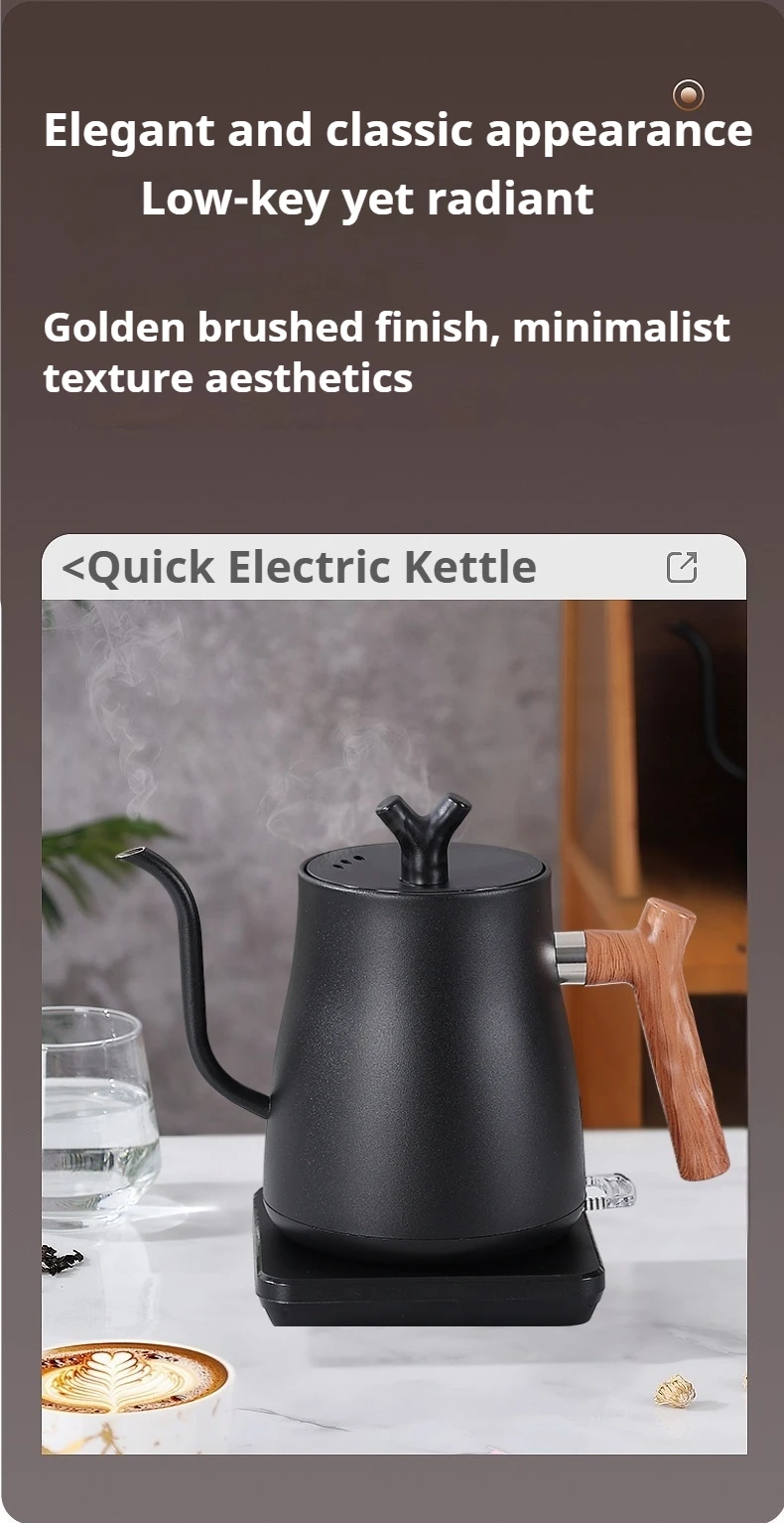 1000W Fast Electric Kettle