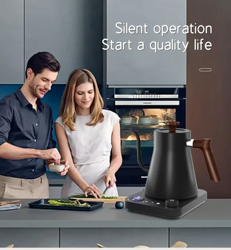 900ML Electric Gooseneck Kettle