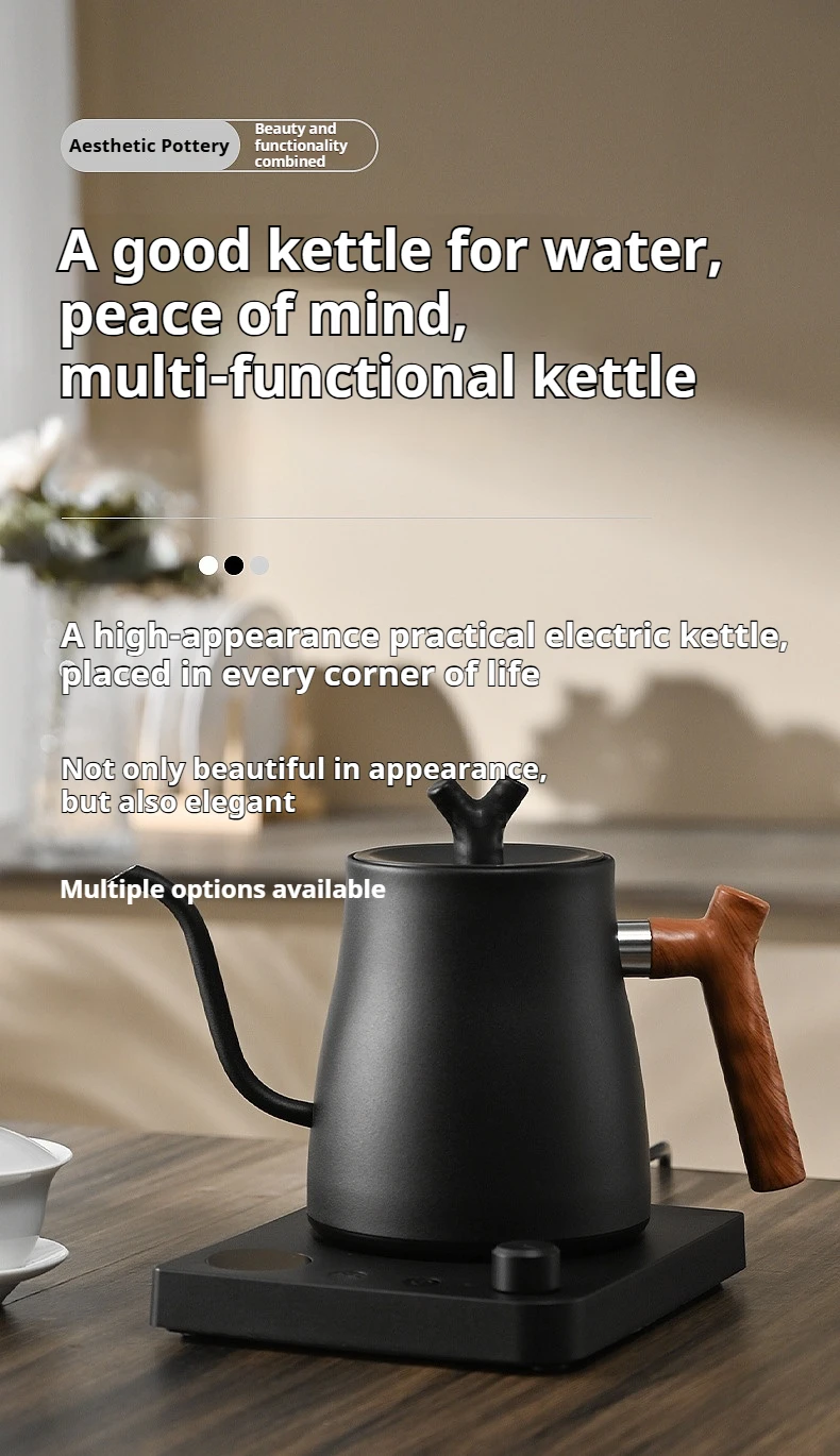 1000W Fast Electric Kettle