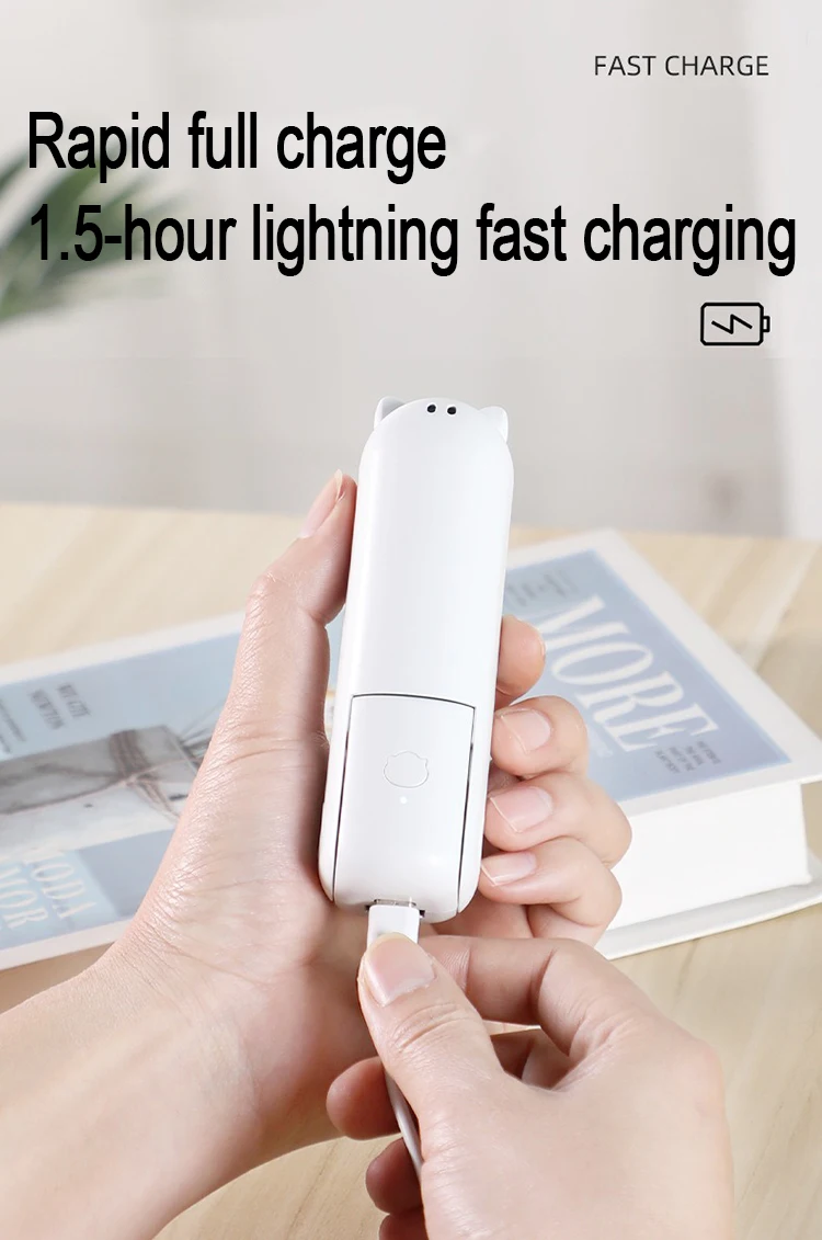 Portable Hand Held Mini Fan
