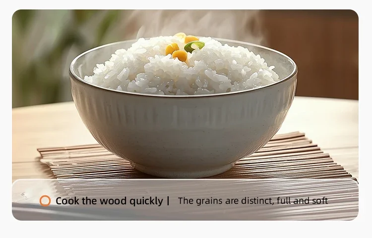 MultiCooker Electric Rice Cooker