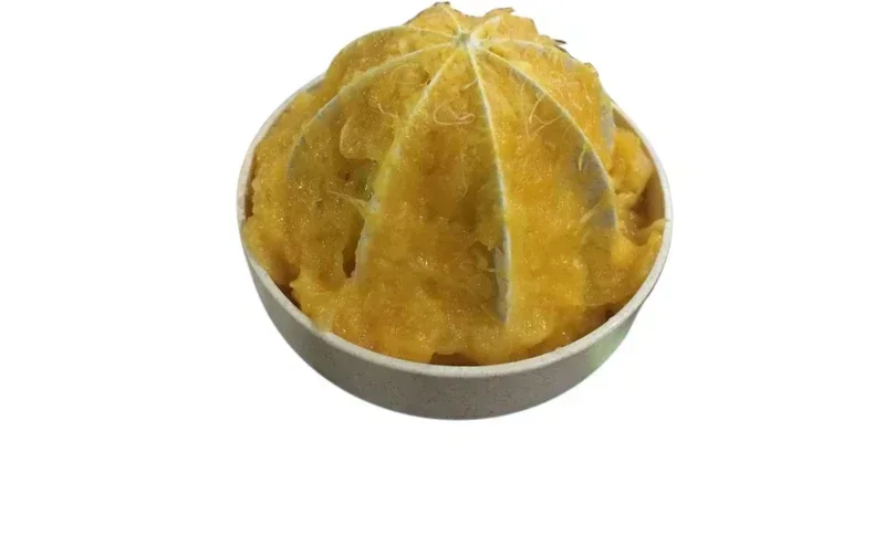 Stainless Steel Fruit Lemon Orange Juicer